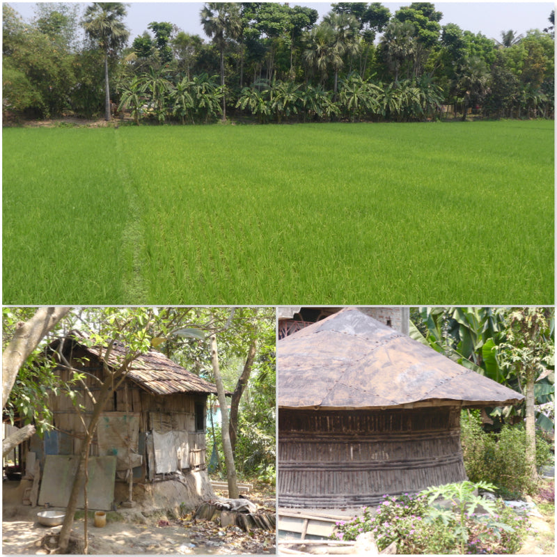 TELLING TALES OF INDIA