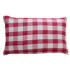 Scarlet Salsa cushion